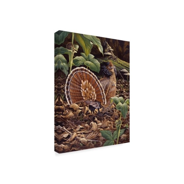 Wilhelm Goebel 'May Display Ruffed Grouse' Canvas Art,18x24